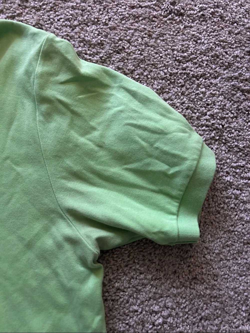Ralph Lauren Light Green Polo Shirt with Purple Pony